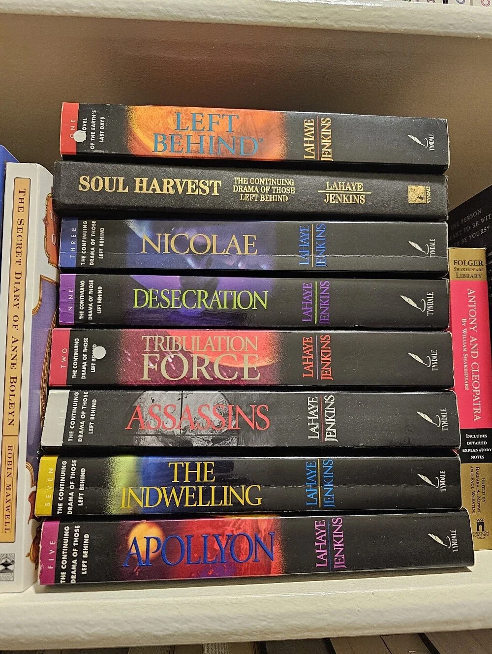 Left Behind Series And Other Books - Black with Multi-Color Accents